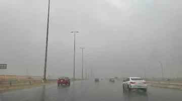 الأرصاد تحذر: برودة شديدة فجر الأحد وشبورة كثيفة على طرق رئيسية